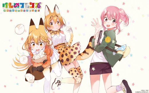 1155173 (a): :2560x1600
